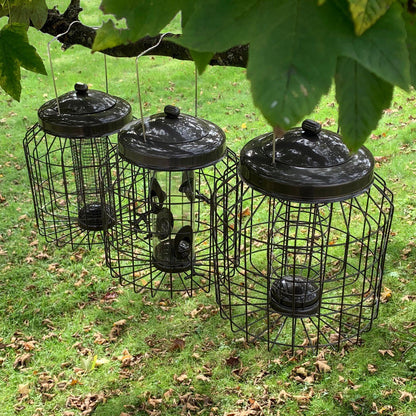 Delux Heavy Duty Squirrel Proof Hanging Nut, Seed & Fat Ball Bird Feeders (Set of 3)