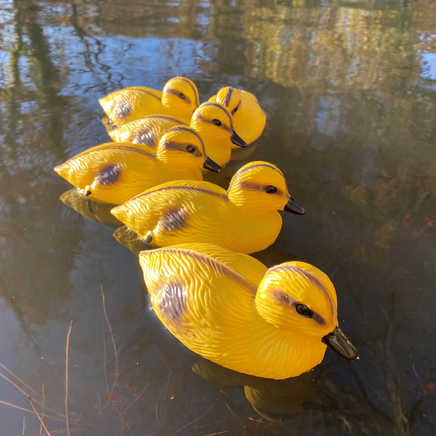 Decorative Plastic Floating Yellow Pond Ducklings (Pack of 6)