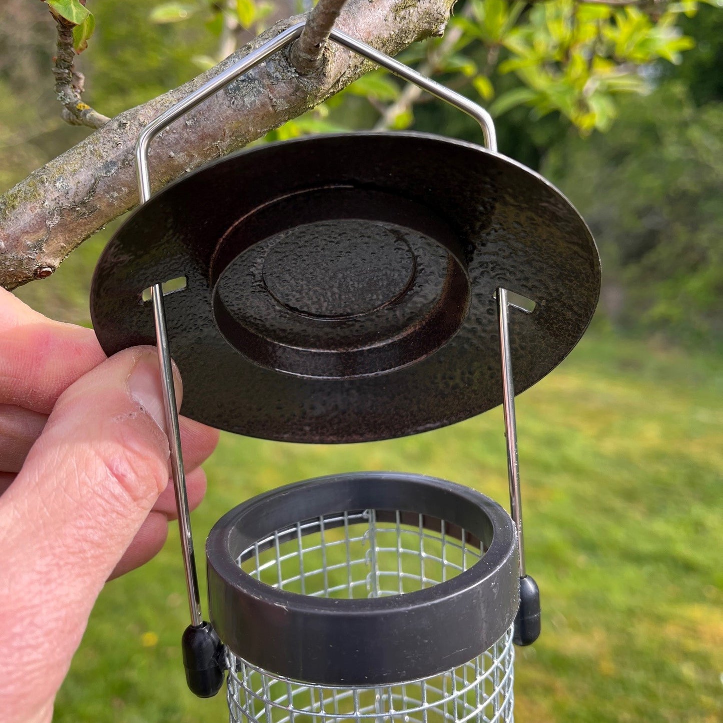Large Hanging Peanut Bird Feeders (Set of 4)