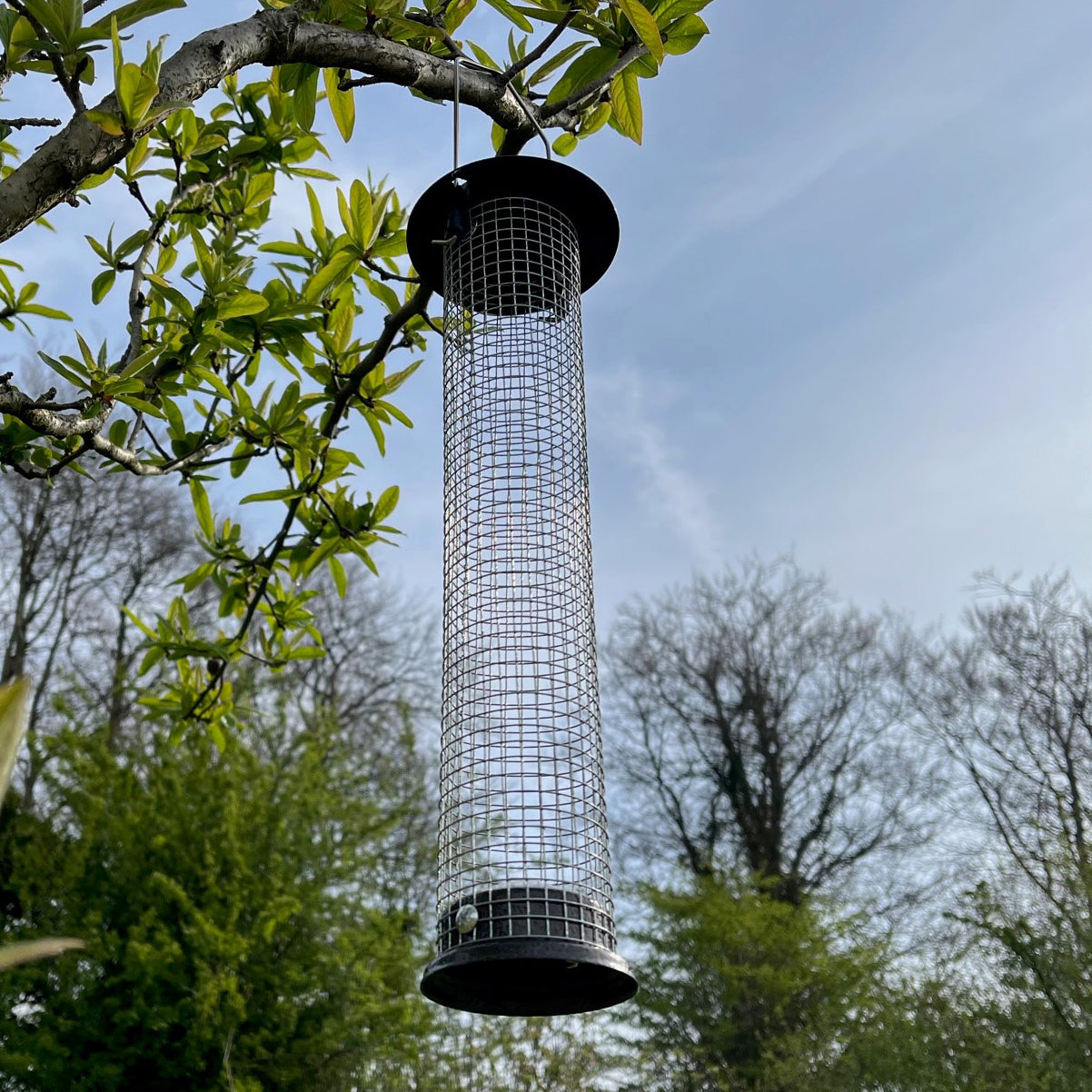 Large Hanging Peanut Bird Feeders (Set of 4)