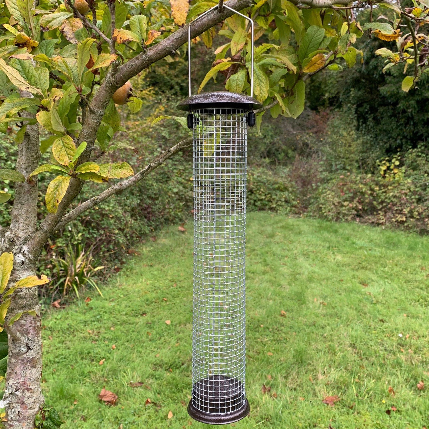Large Hanging Peanut Bird Feeders (Set of 4)