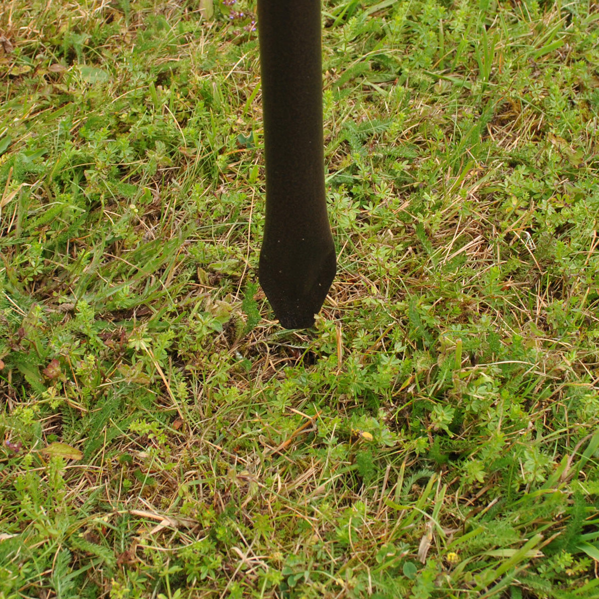 Ground Stake Pole for Bird Feeding Stations