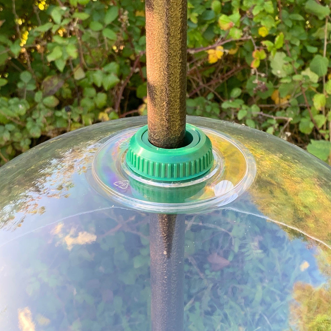 Squirrel Proof Baffle Protection for Wild Bird Feeders