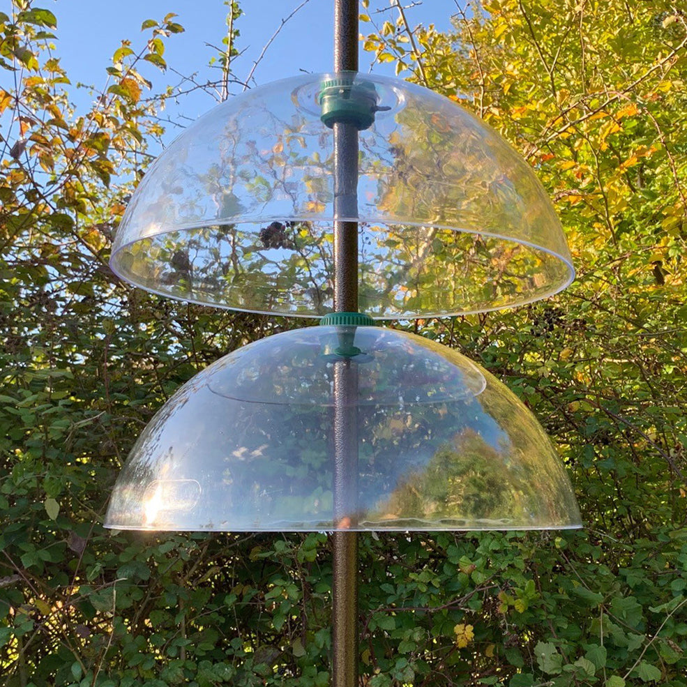 Two clear, dome-shaped squirrel baffles attached to a bird feeder pole, set against a backdrop of green foliage.