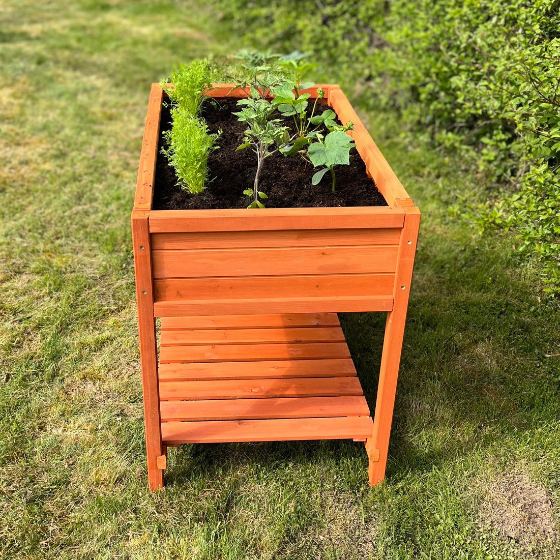 Wooden Raised Herb Planter
