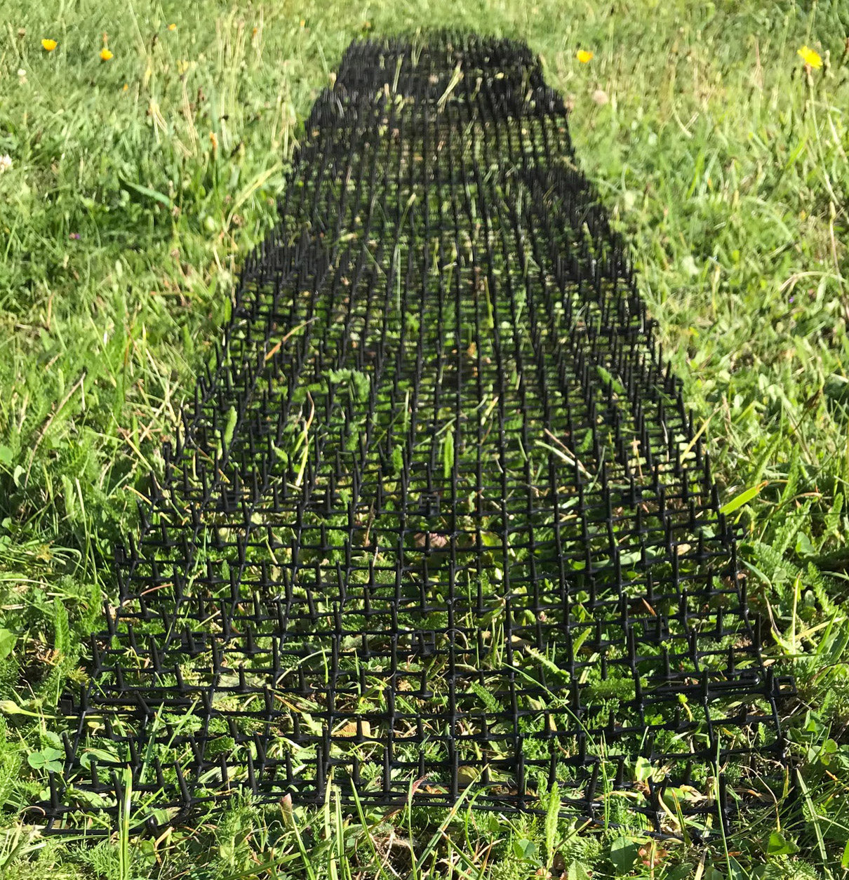 Plant Prickle Strip Dig Stopper Anti Dog and Cat Protection (2m x 30cm) - Pack of 4