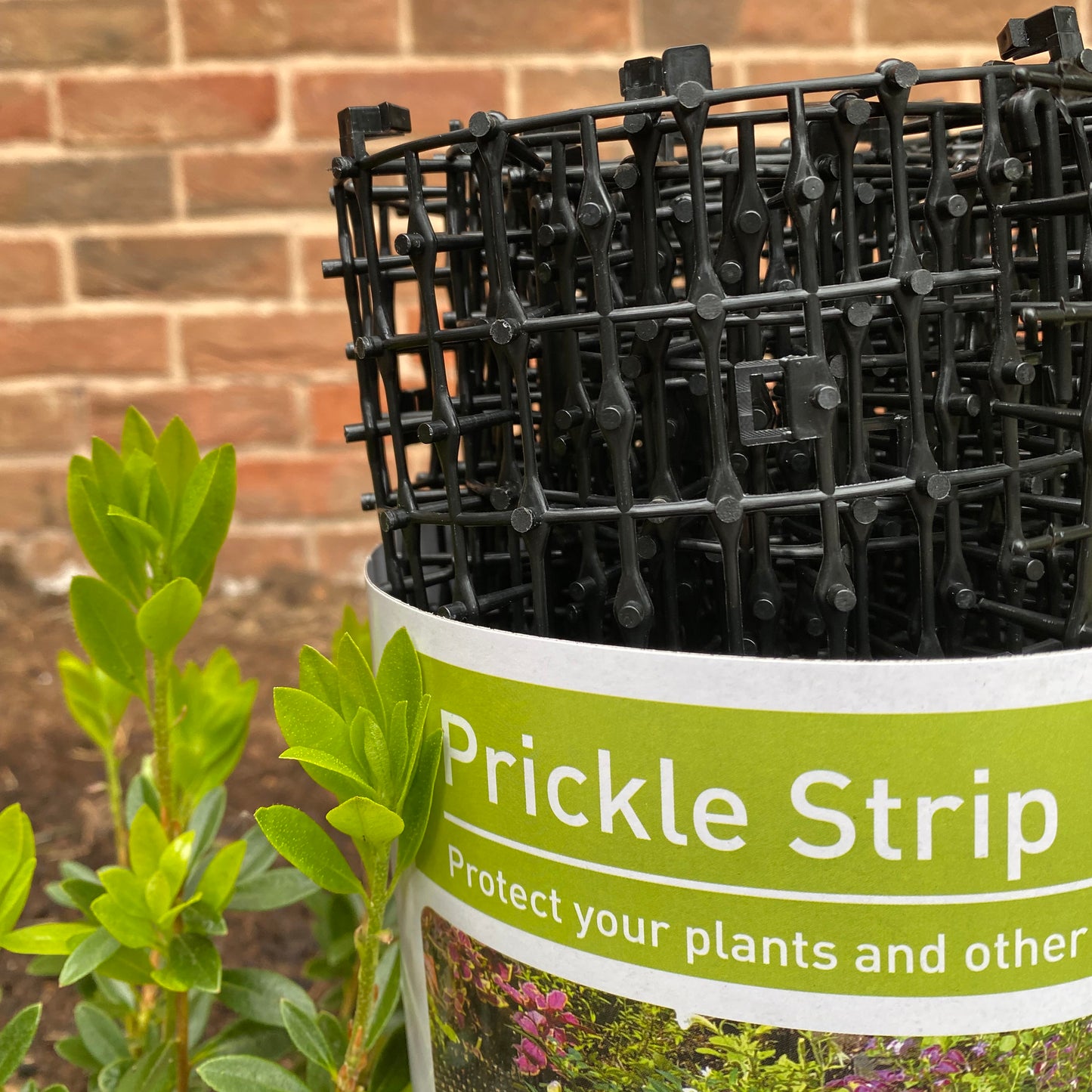 Plant Prickle Strip Dig Stopper Anti Dog and Cat Protection (2m x 30cm) - Pack of 4