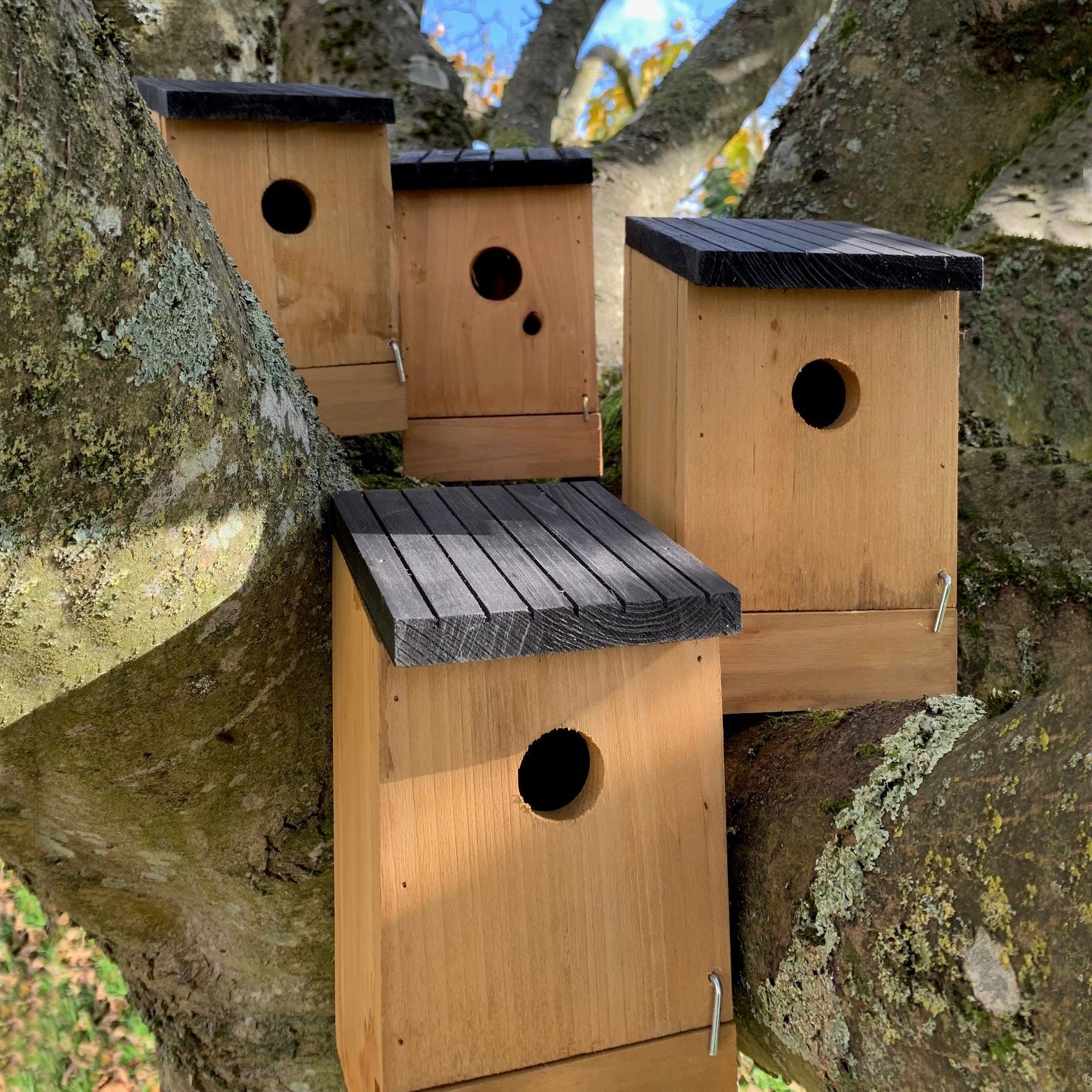 A set of four traditional wooden bird nest boxes with removable bases, placed against a tree.