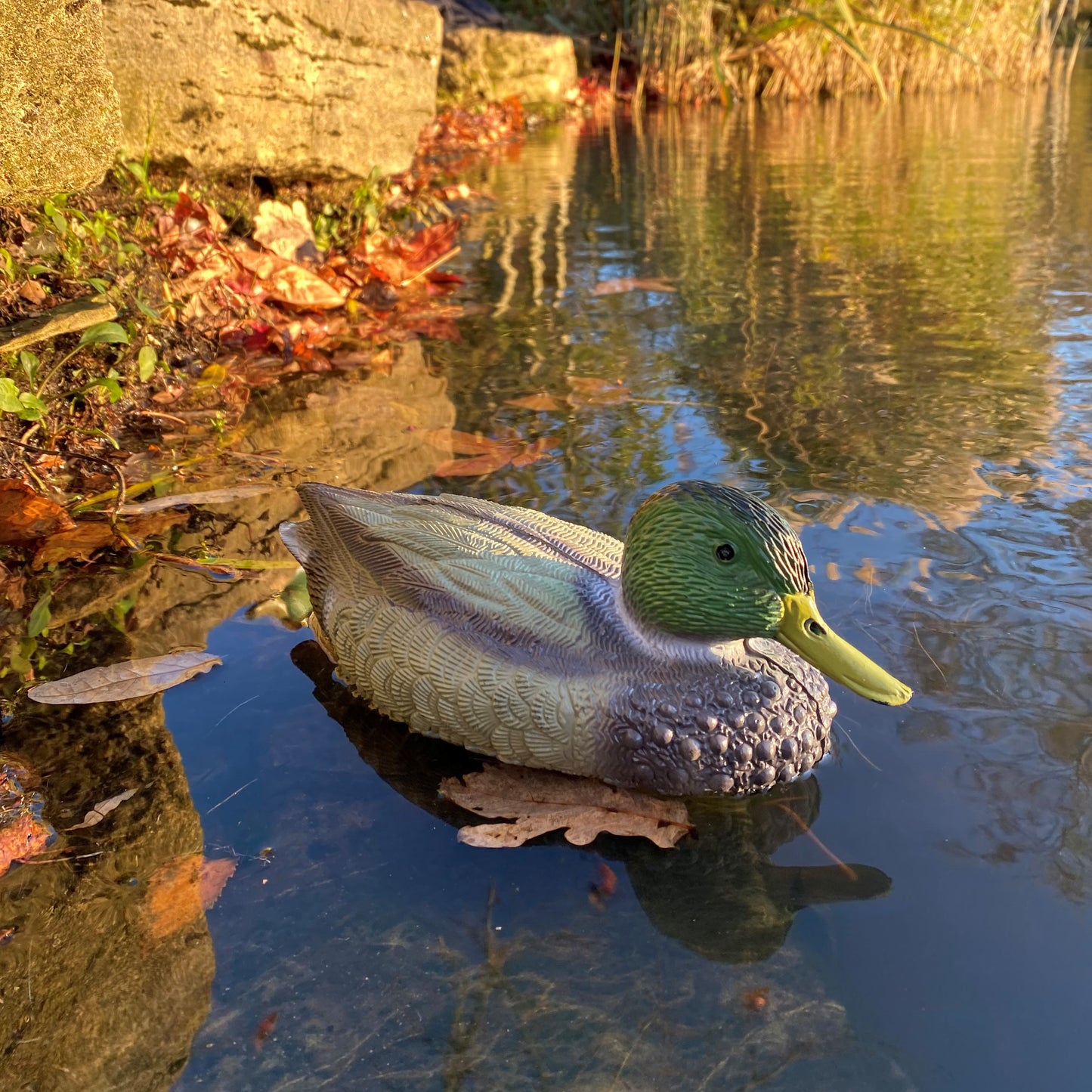 Mallard Duck Hunting Shooting Floating Decoy Pond Decoration Large (Set of 6)