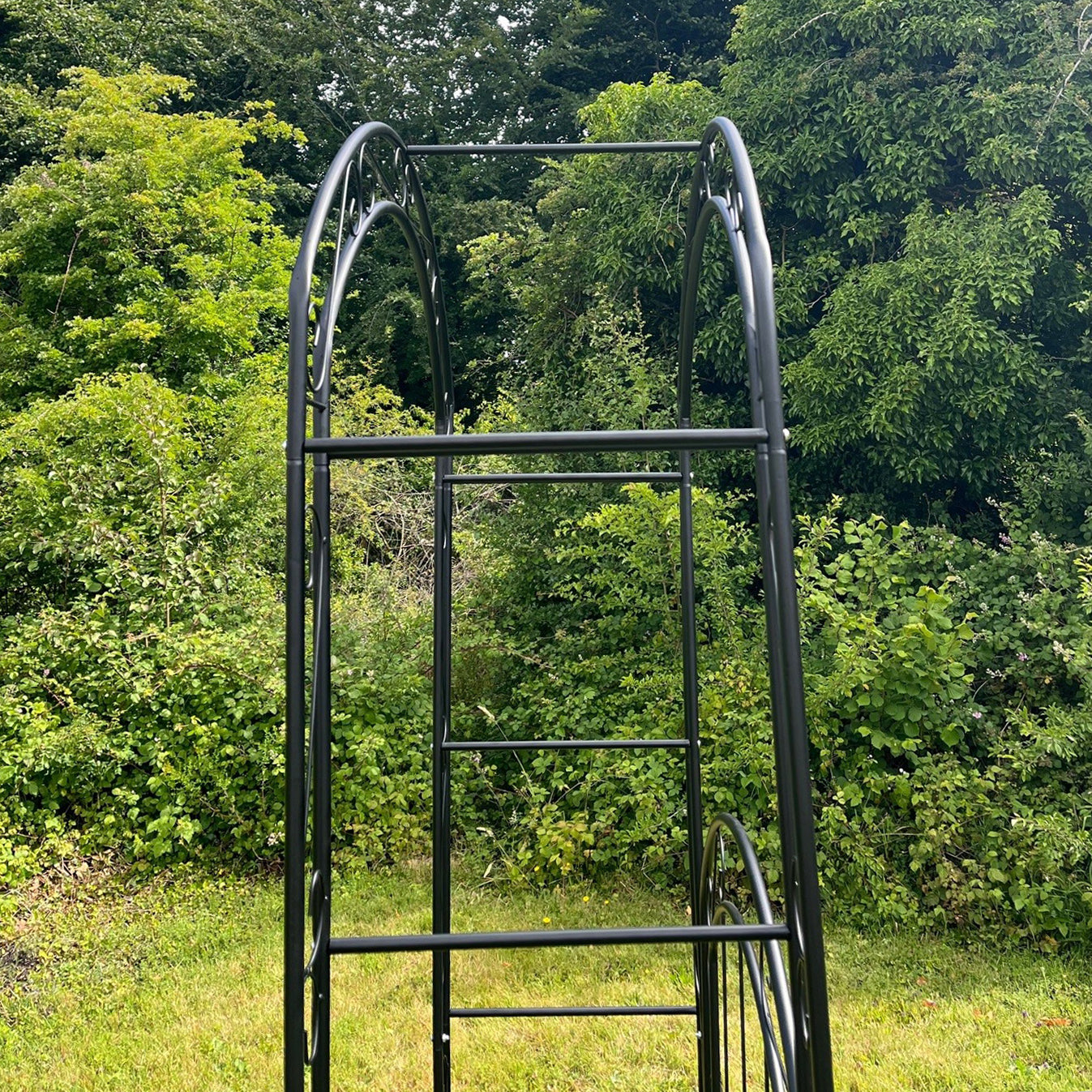 Metal Windsor Garden Arch with Gate and Fixing Pegs