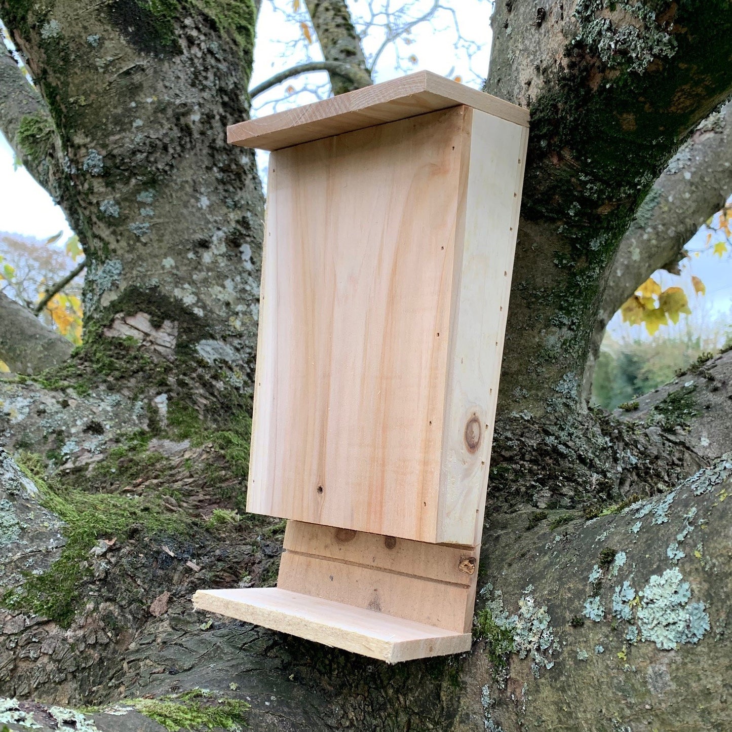 Wooden Bat Box with Landing Perch