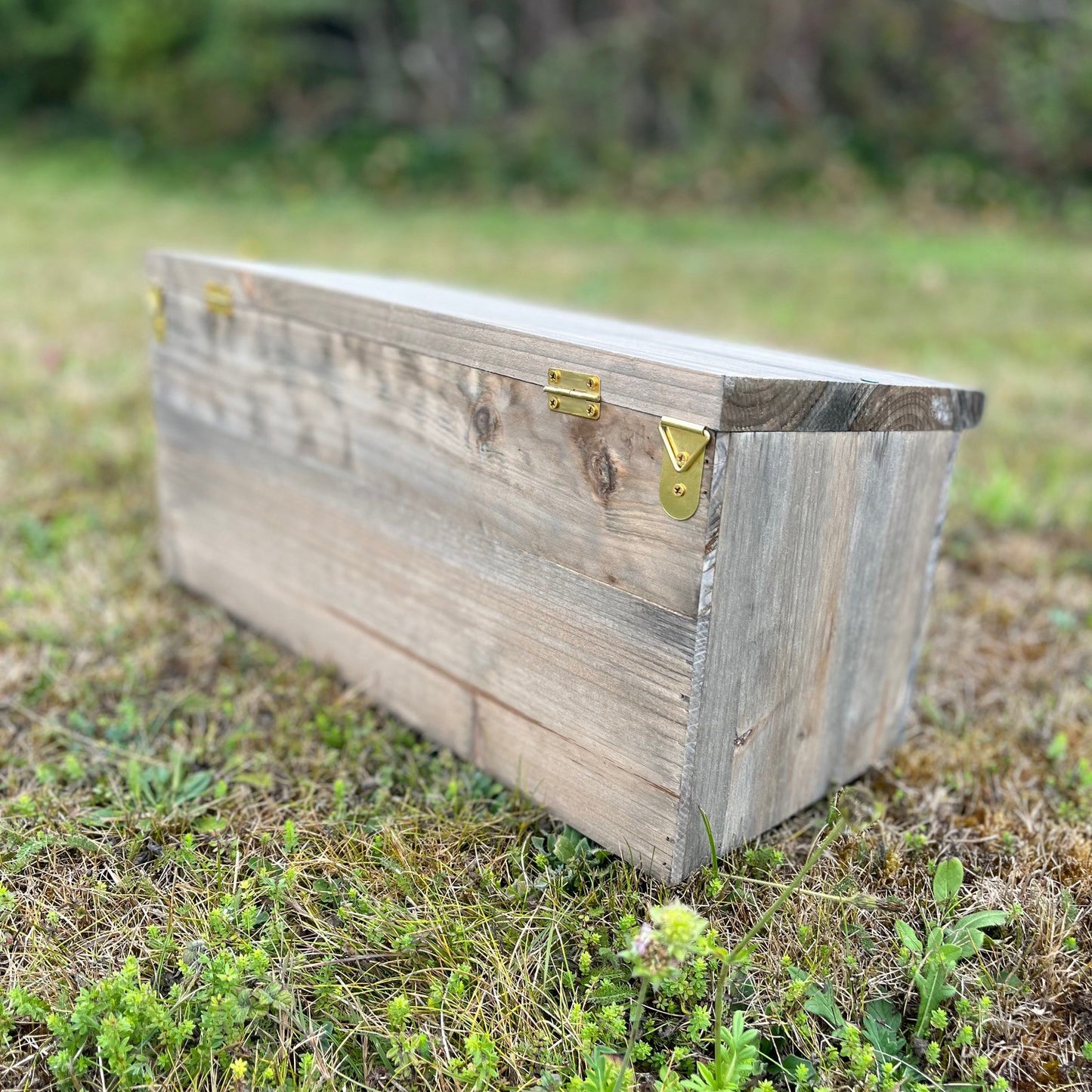 Sparrow Colony Terrace Wooden Nesting Boxes (Set of 2)