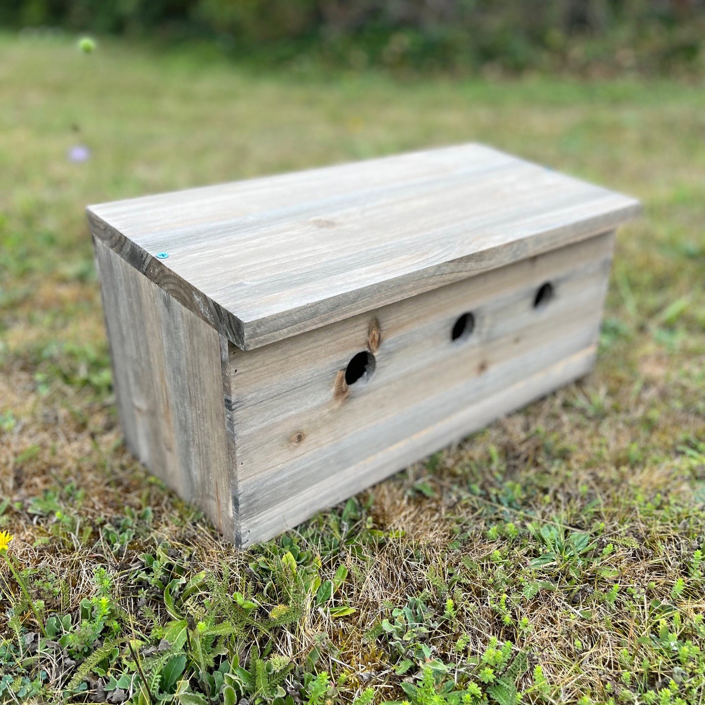 Sparrow Colony Terrace Wooden Nesting Boxes (Set of 2)