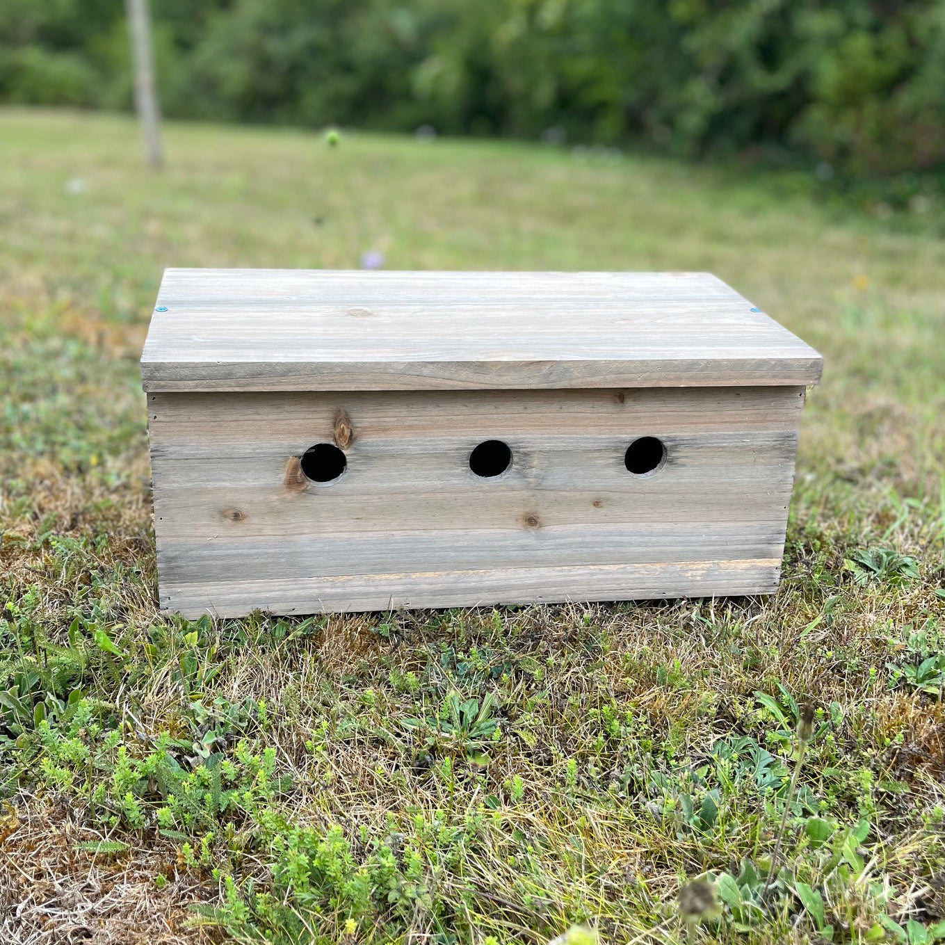 Sparrow Colony Terrace Wooden Nesting Boxes (Set of 2)