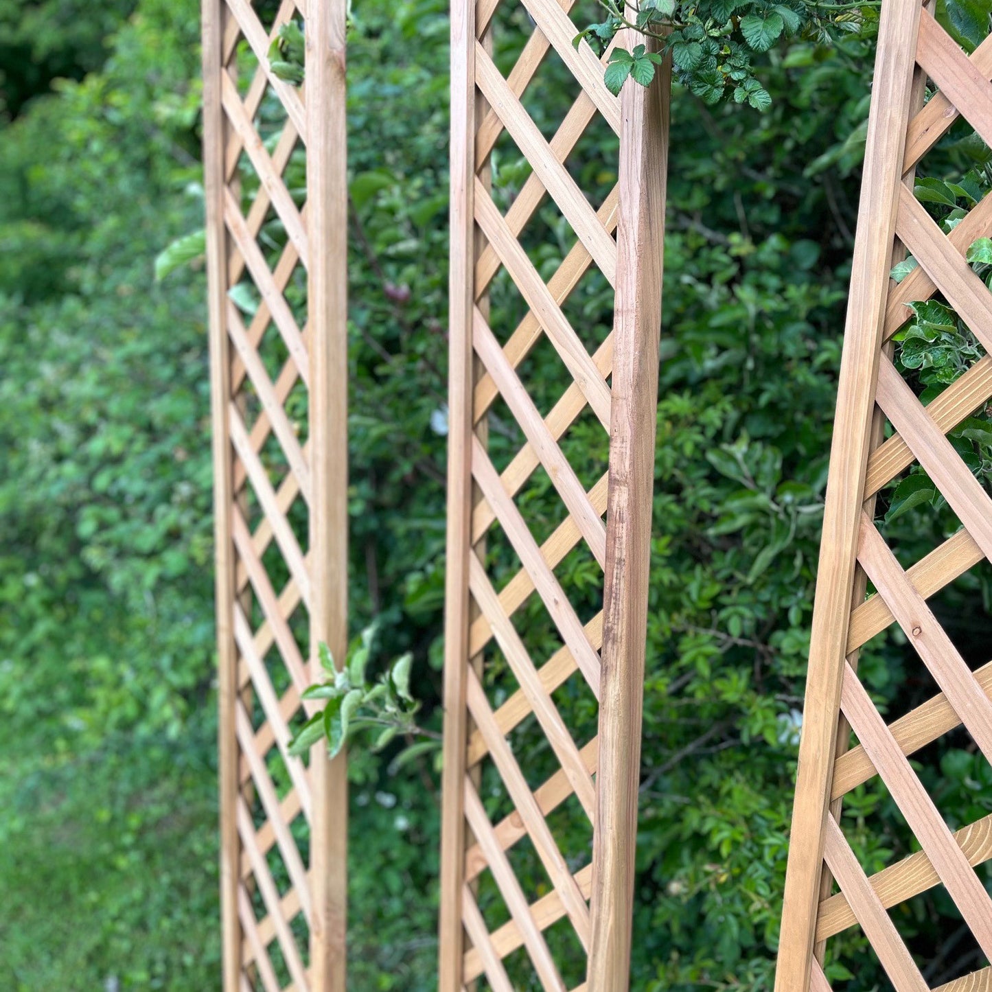 Wooden Framed Trellis Panels Fence Toppers (180cm x 30cm) - Pack of 5
