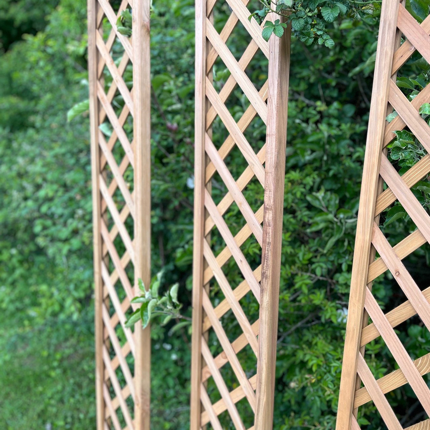 Set of 5 Wooden Framed Square Trellis Panels Fence Toppers (180cm x 30cm)