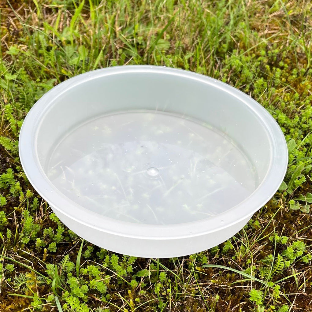 Bird Bath Water Dish for Metal Bird Feeding Stations (Set of 5)
