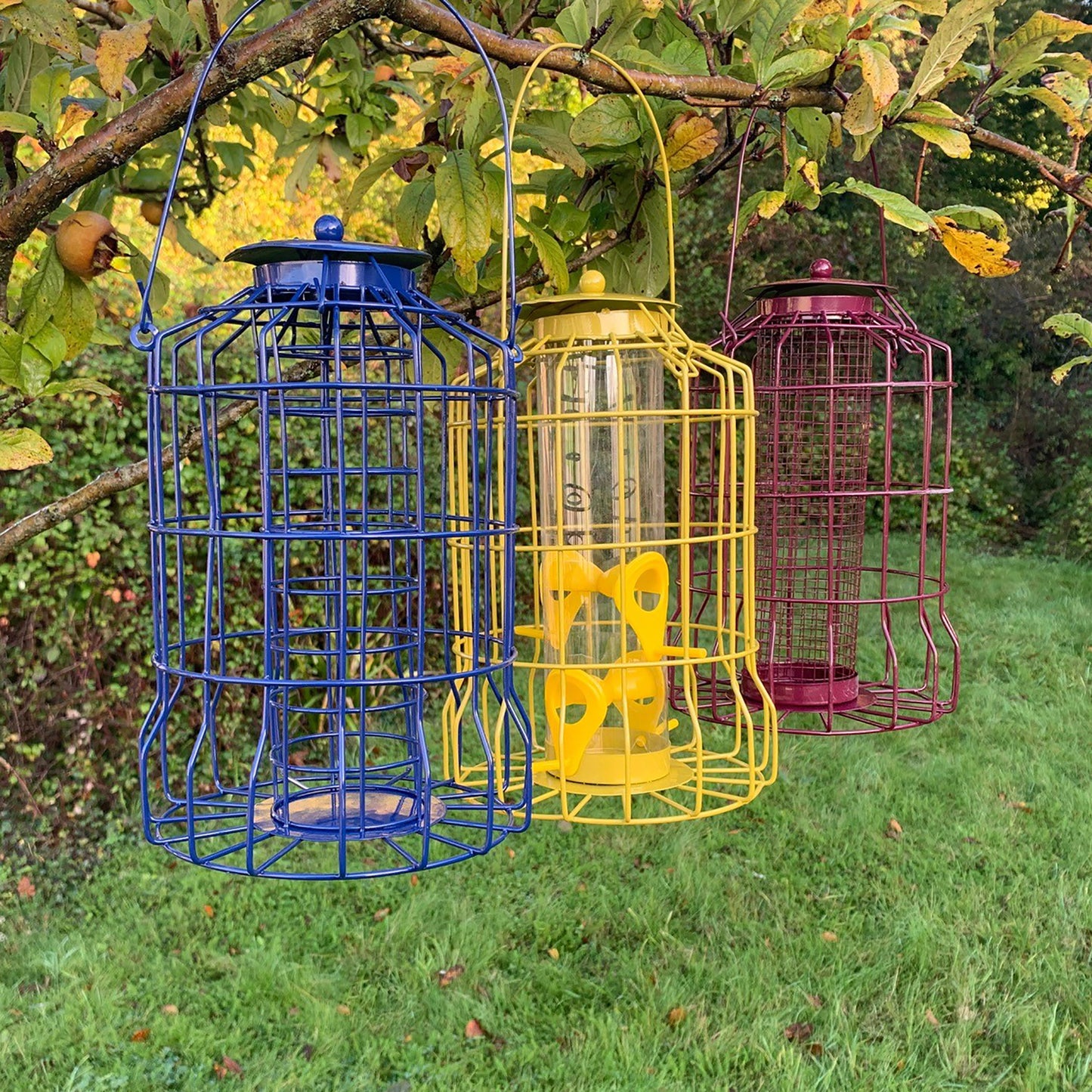 Hanging Squirrel Proof Nut, Seed & Fat Ball Bird Feeders (Set of 3)
