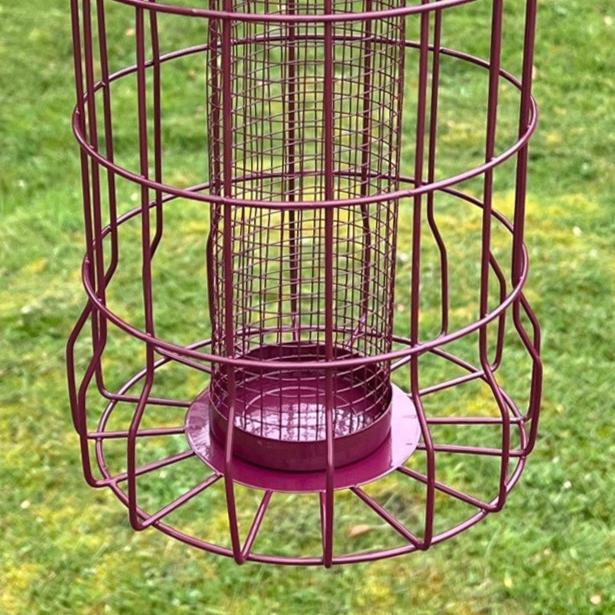 Squirrel Proof Hanging Bird Nut Feeder