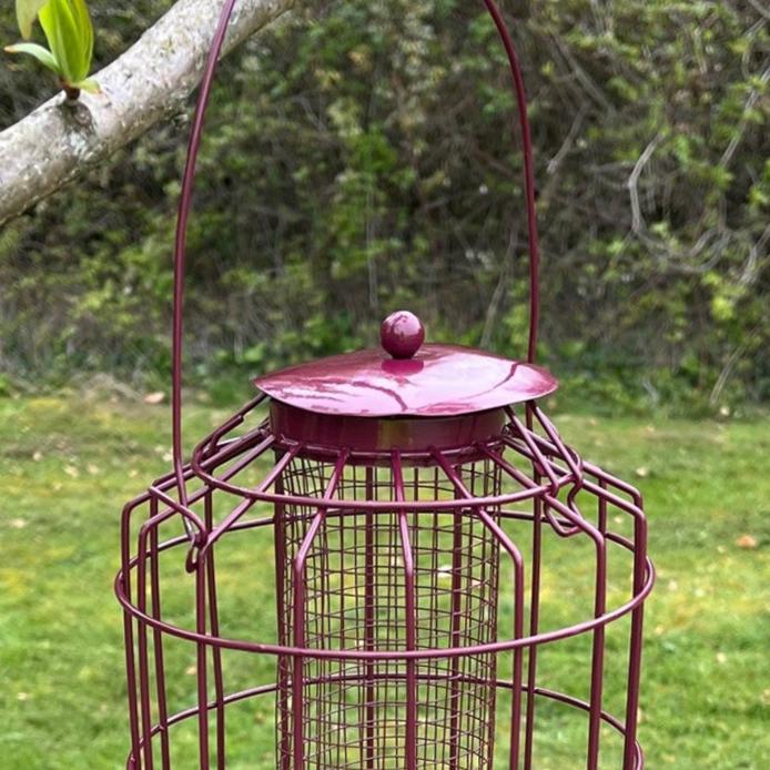 Squirrel Proof Hanging Bird Nut Feeder