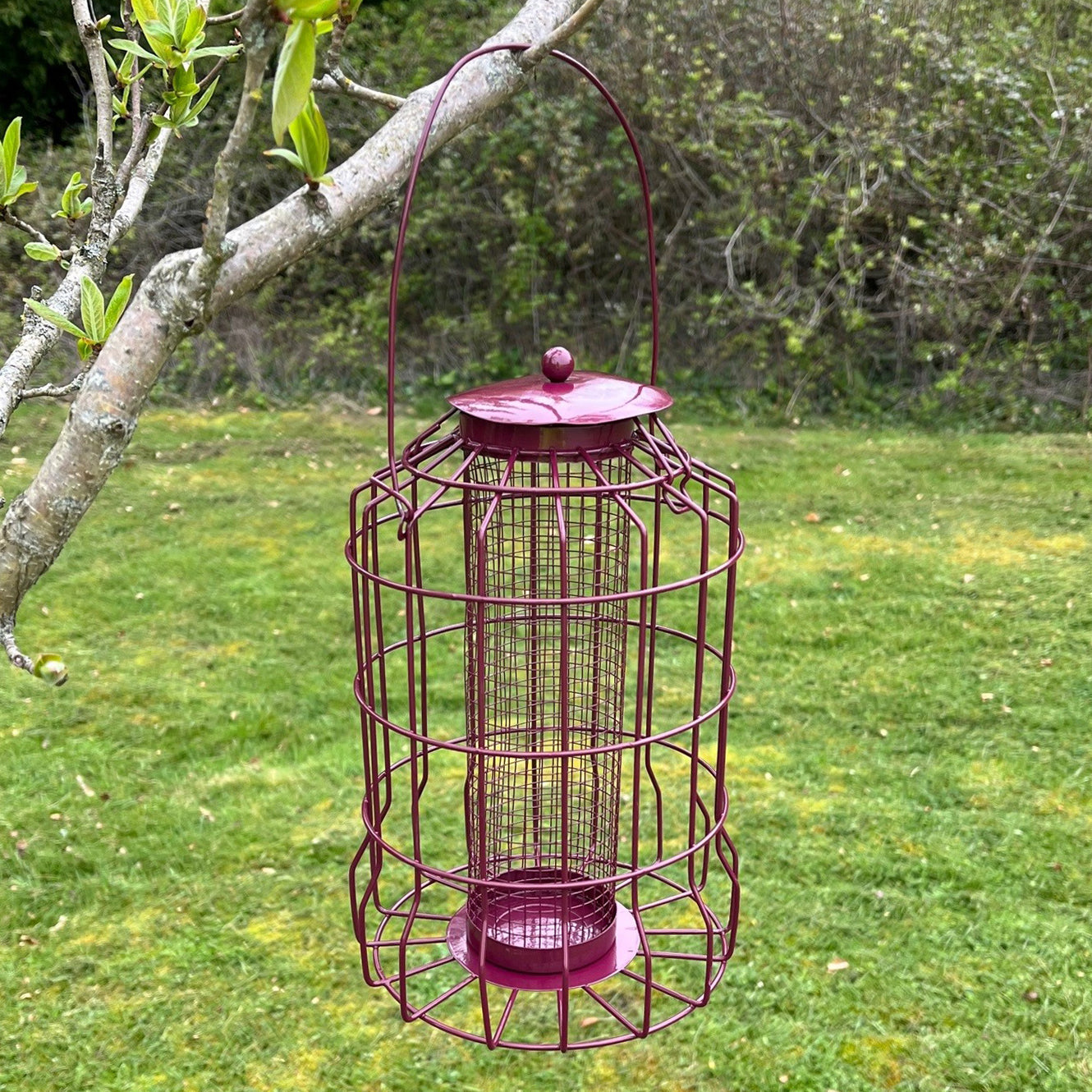 Squirrel Proof Hanging Bird Nut Feeder