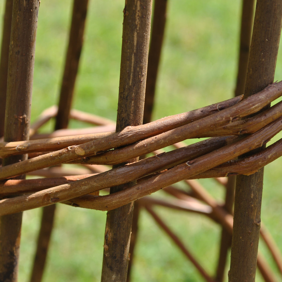 Set of 2 Spiral Willow Garden Obelisks (1.2m)