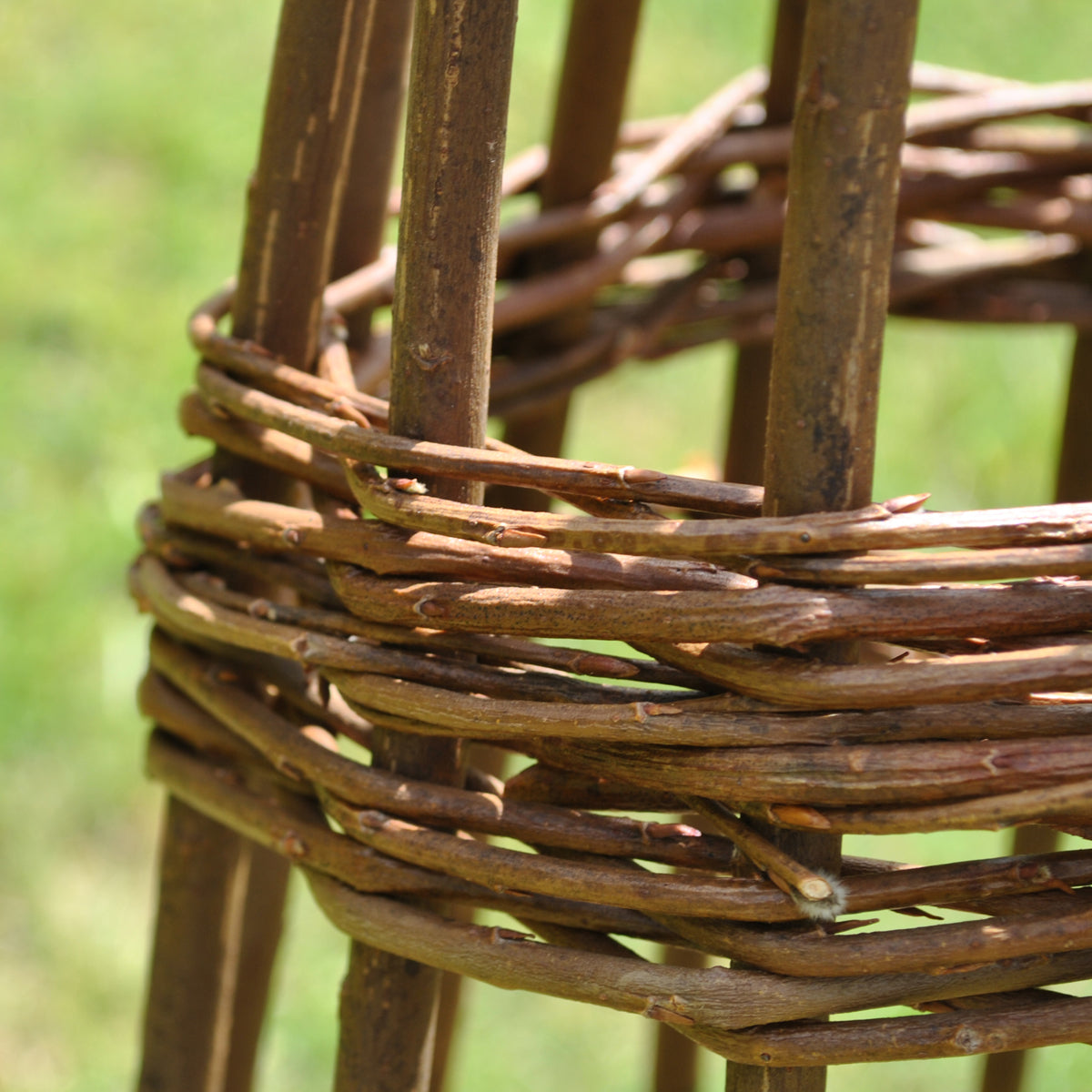 Spiral Willow Garden Obelisk (1.2m)