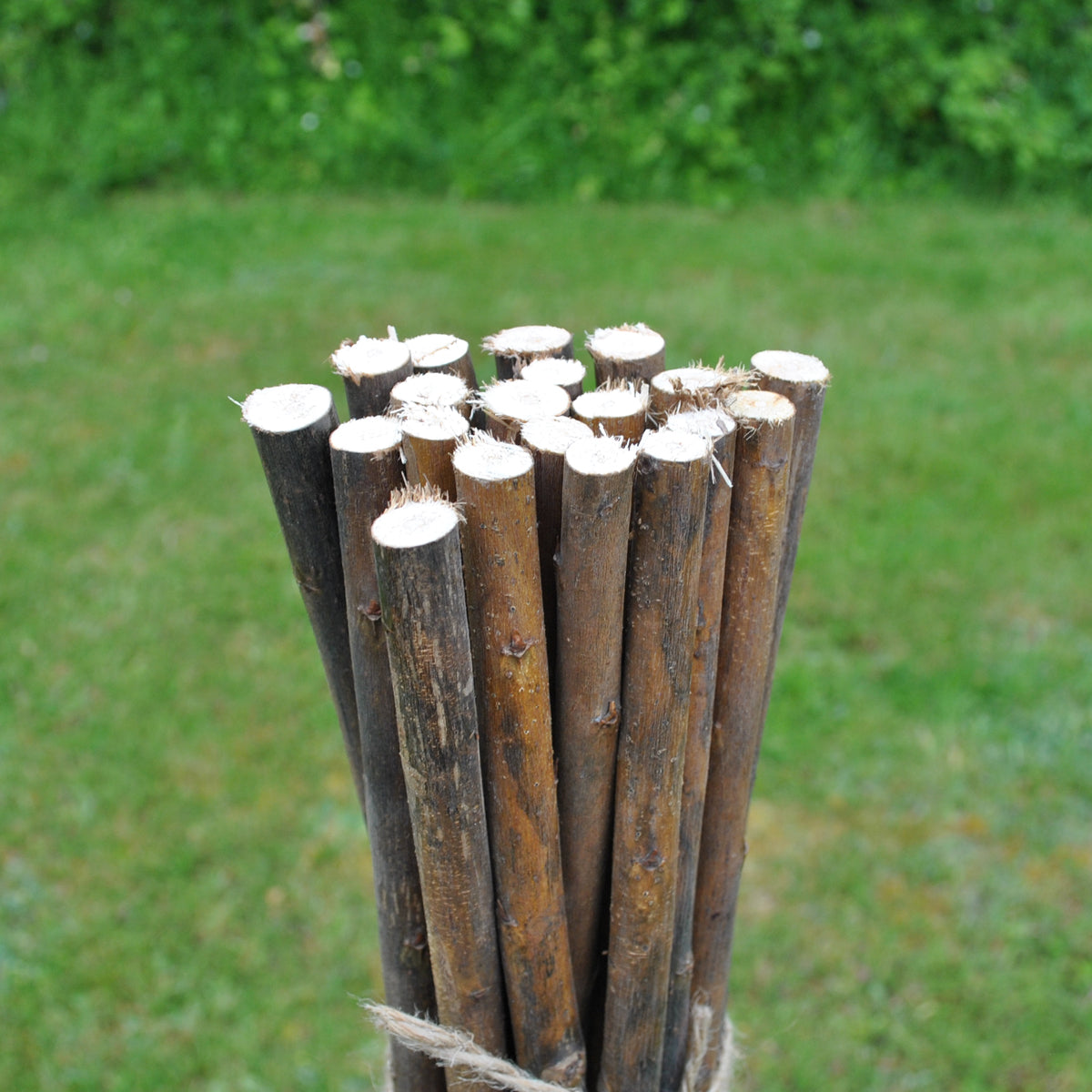 Willow Pea & Bean Garden Plant Support Sticks (120cm) - Pack of 20