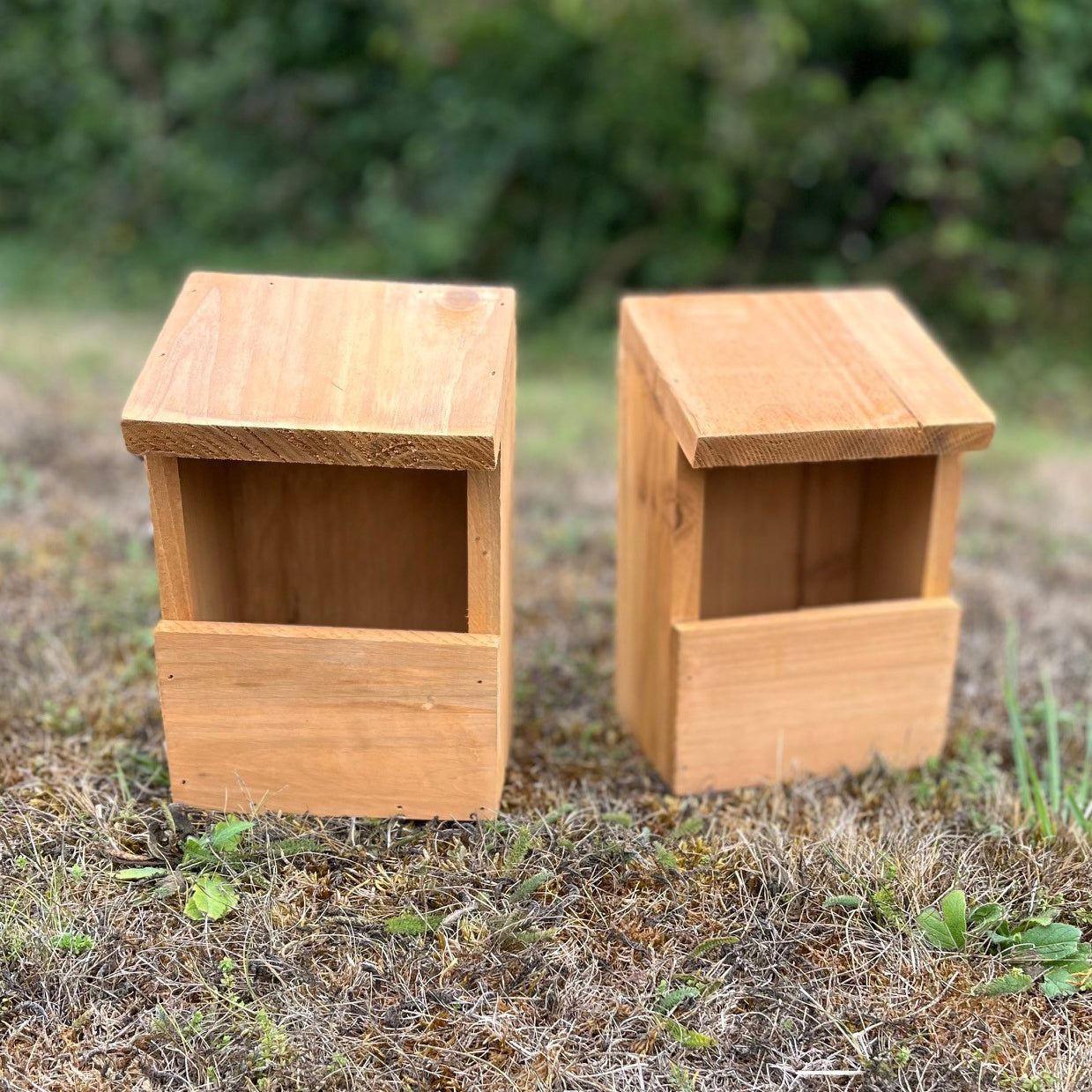 Wooden Robin Birdhouse Garden Nest Boxes (Set of 2)