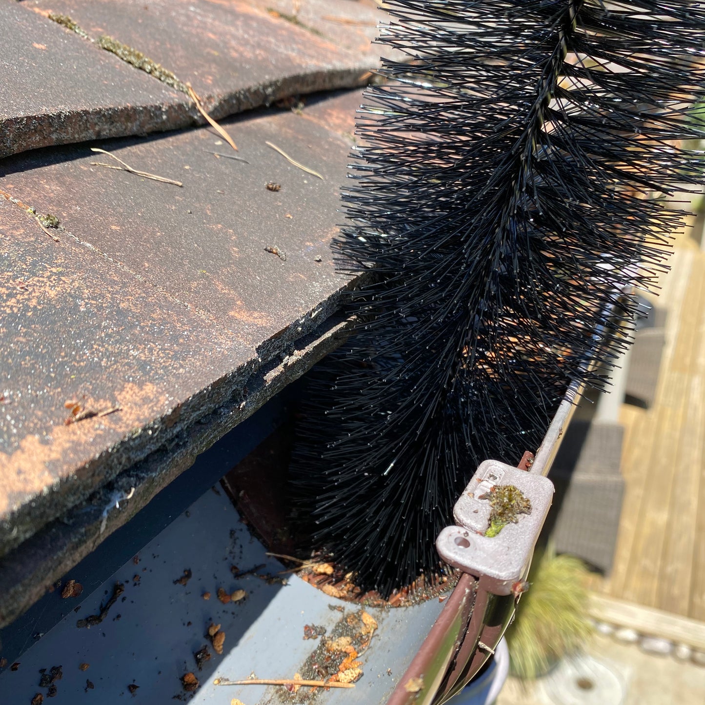 Drain & Gutter Downpipe Leaf Guard Brush Plugs 30cm (Set of 8)