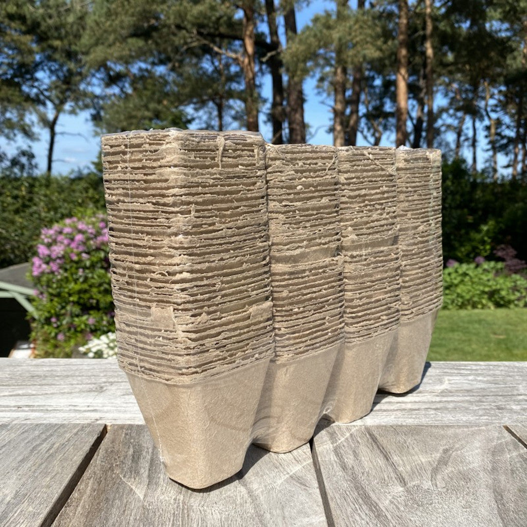 144 x 8cm Eco Square Fibre Biodegradable and Compostable Plant Pots