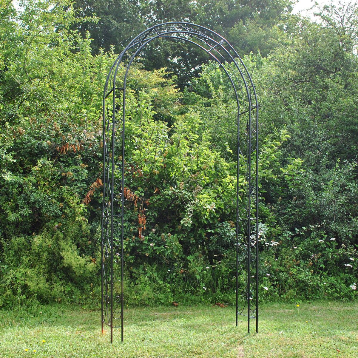 Tivoli Metal Decorative Garden Arch