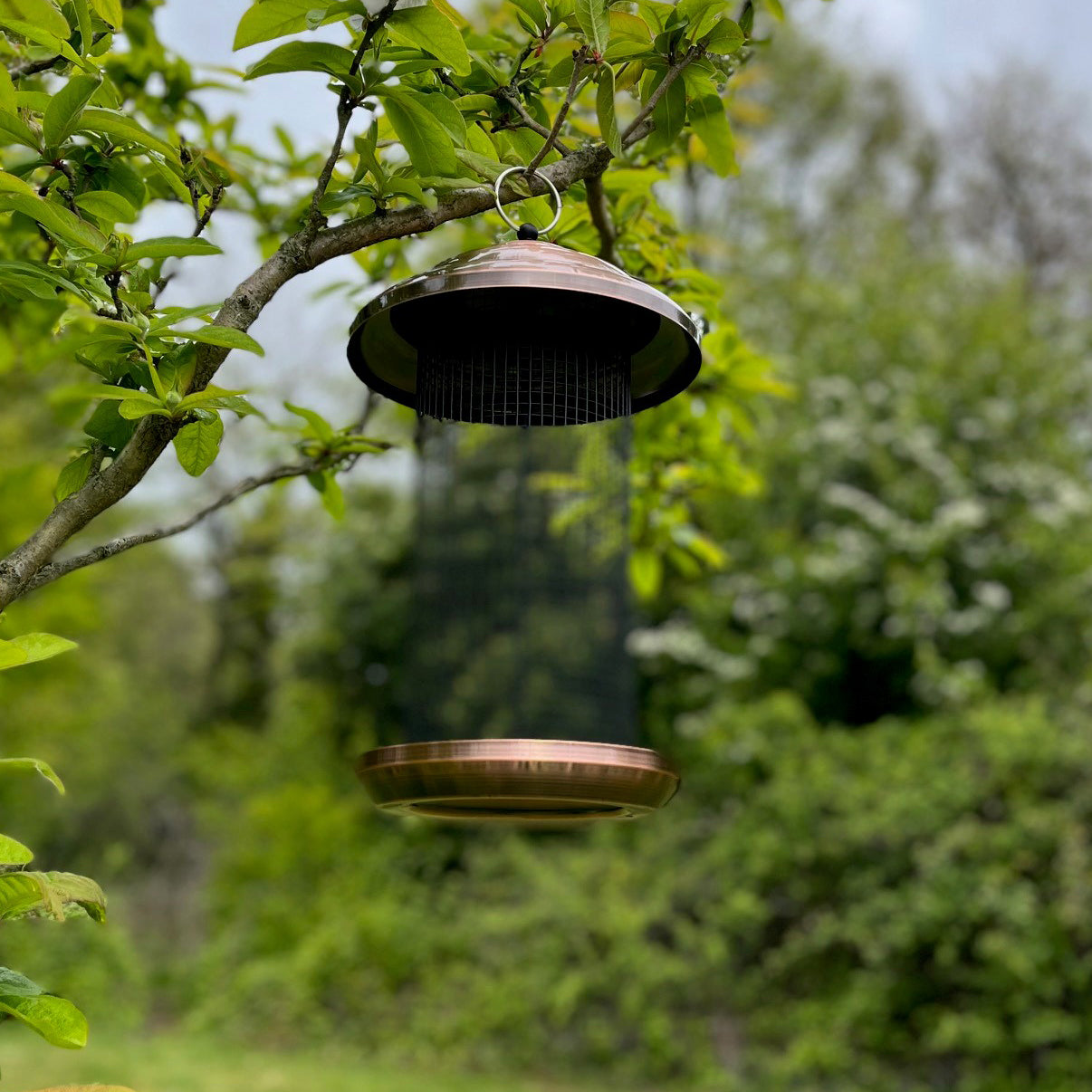 Copper Style Extra Large Hanging Seed & Nut Bird Feeders (Set of 2)