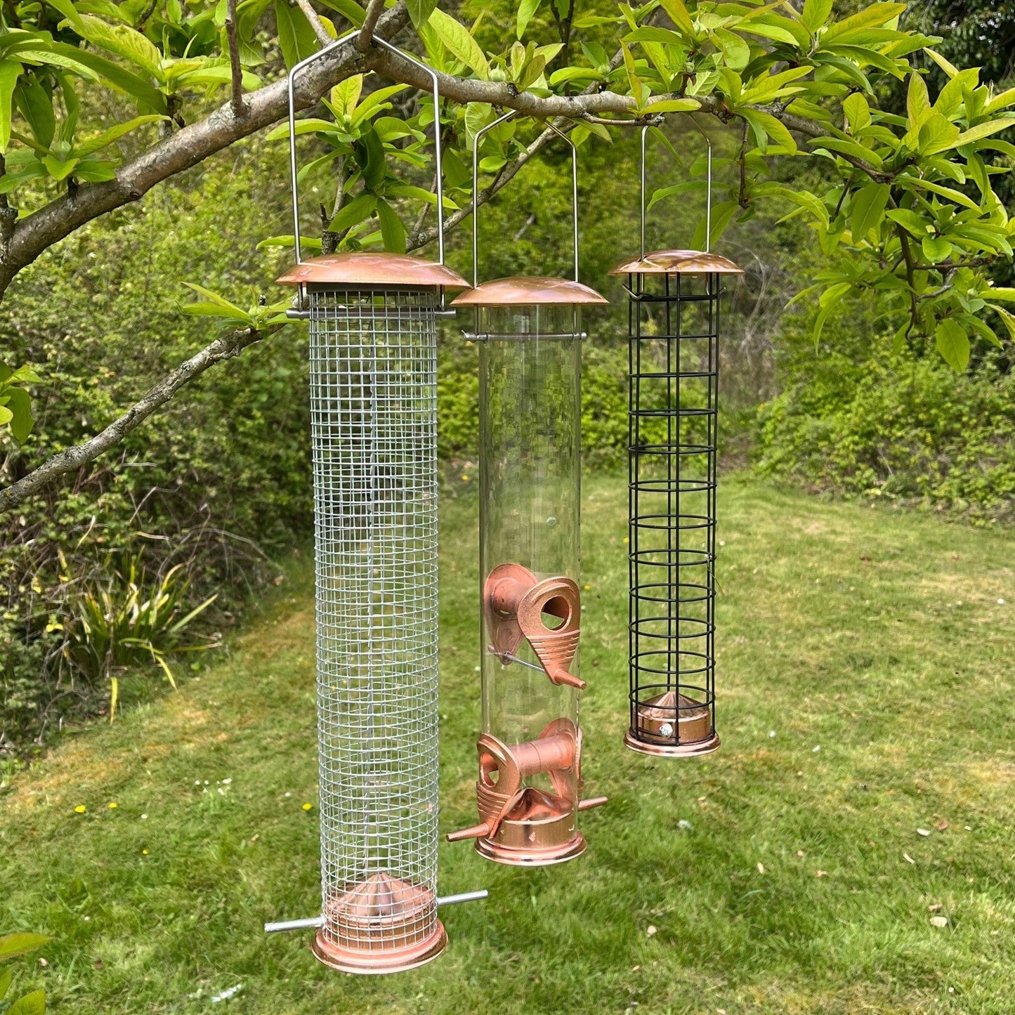 Deluxe Complete Metal Bird Feeding Station with Large Copper Style Feeders & Baffle