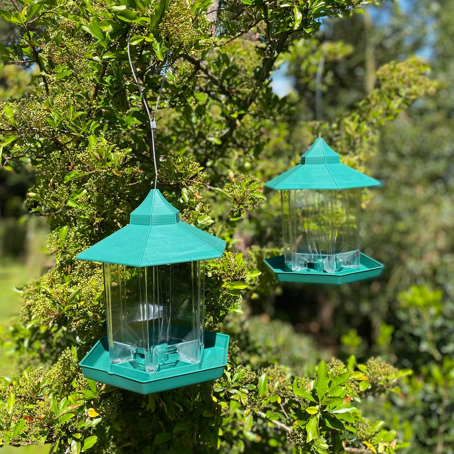 Durlston Green Chalet Bird Seed & Nut Feeders (Set of 4)