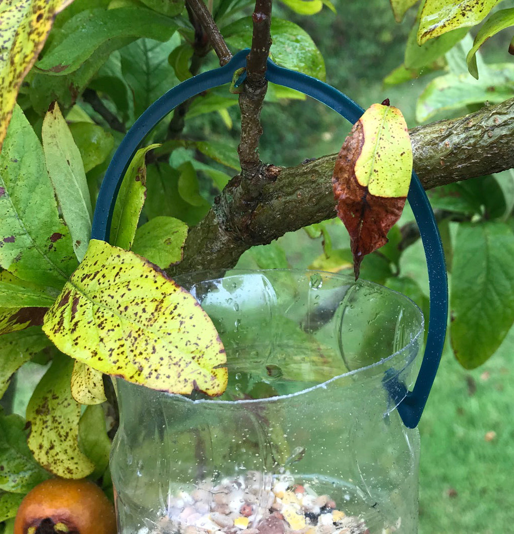 Bottle Top Bird Seed Feeders (Set of 3)