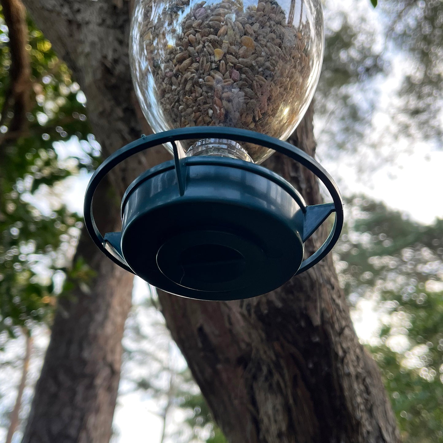 Bottle Top Bird Seed Feeders (Set of 6)
