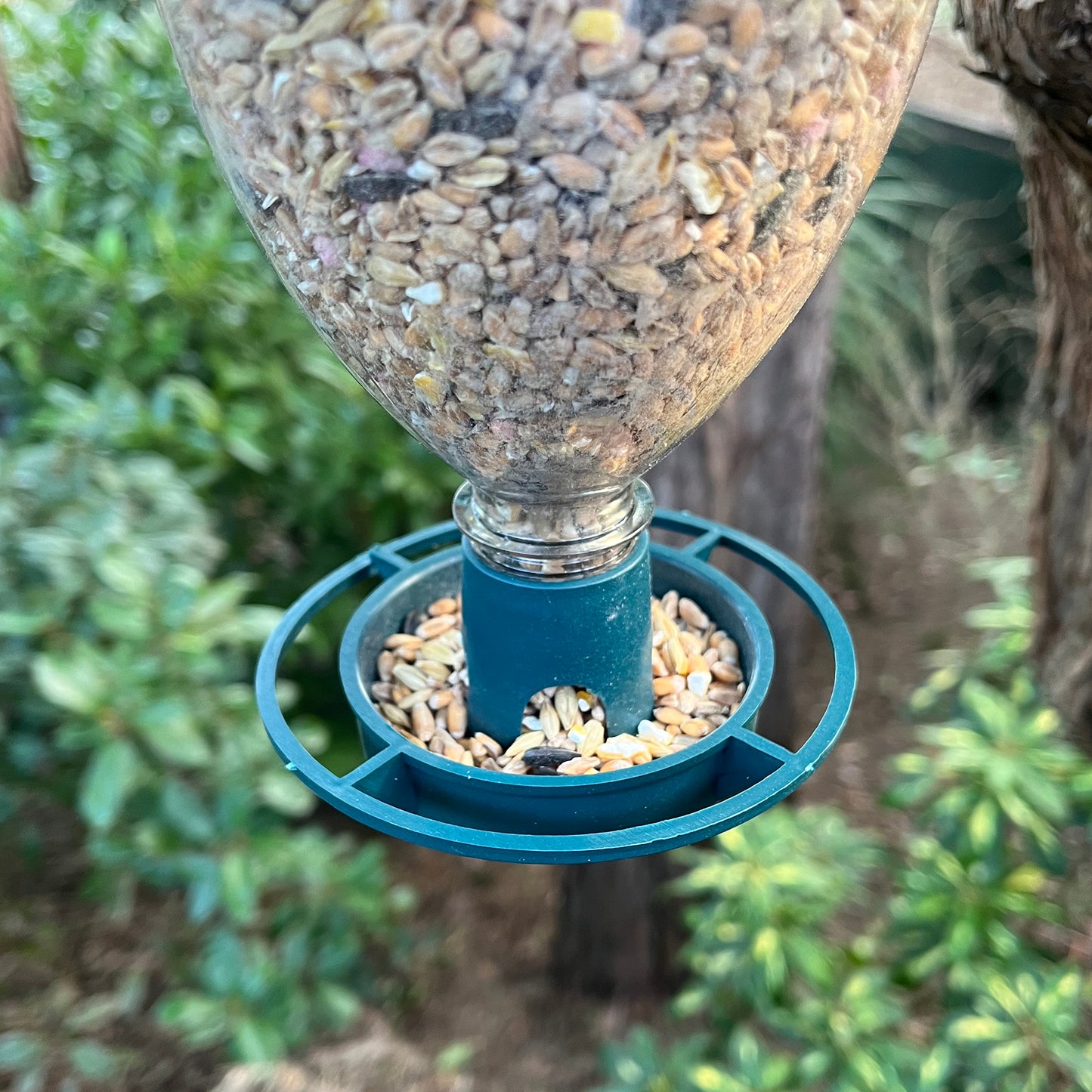 Bottle Top Bird Seed Feeders (Set of 3)