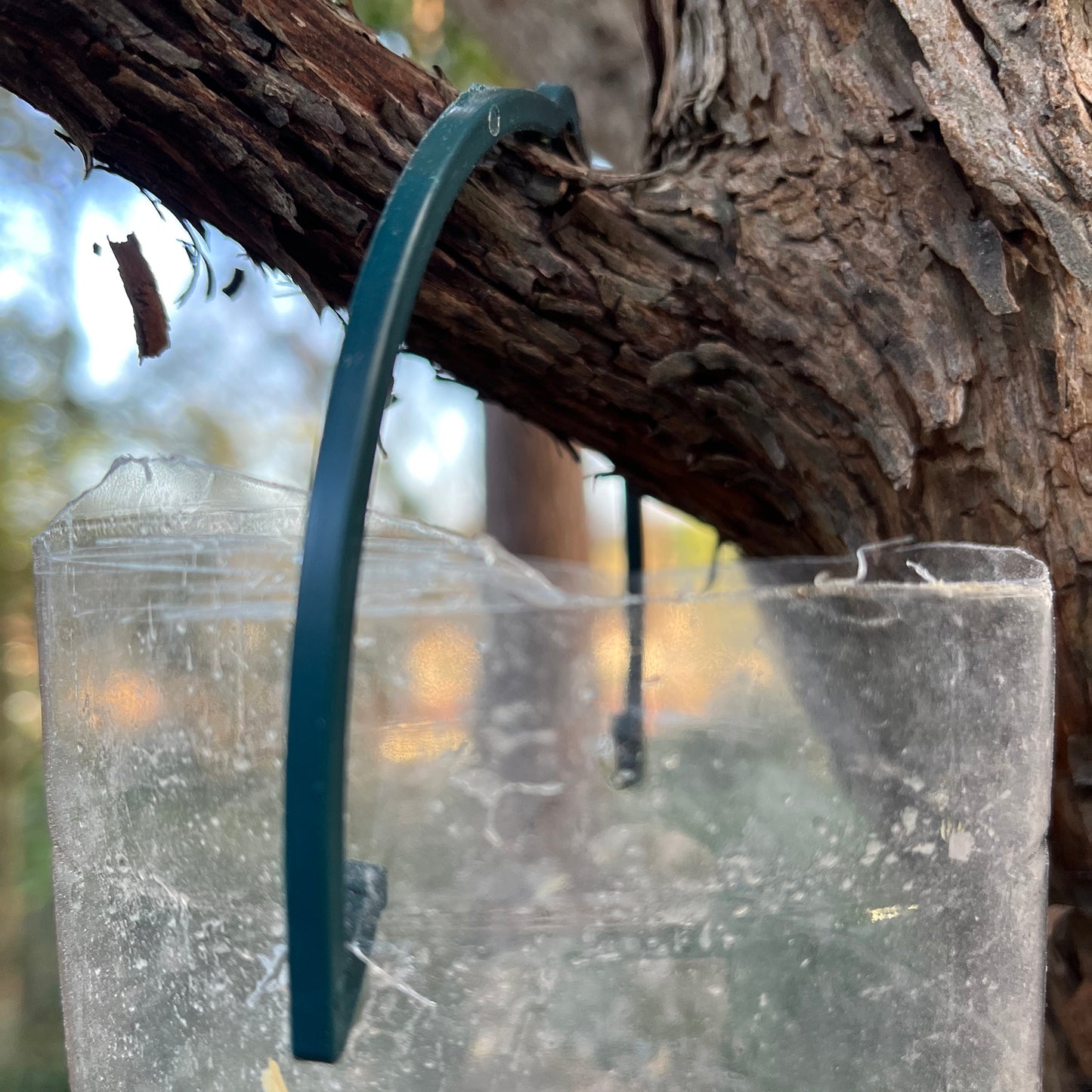 Bottle Top Bird Seed Feeders (Set of 6)