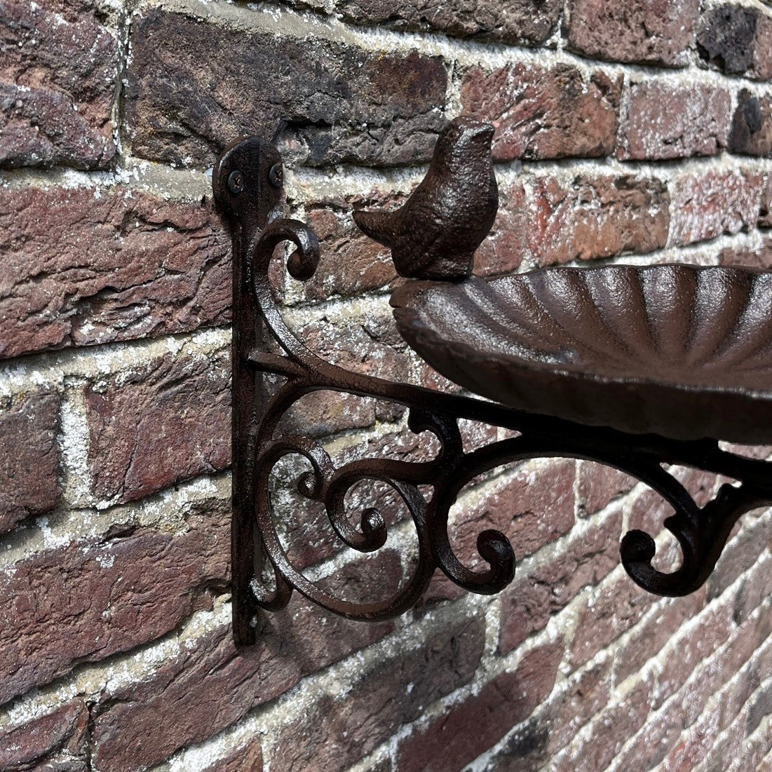 Venus Cast Iron Wall Mounted Bird Bath Feeder with Hanger