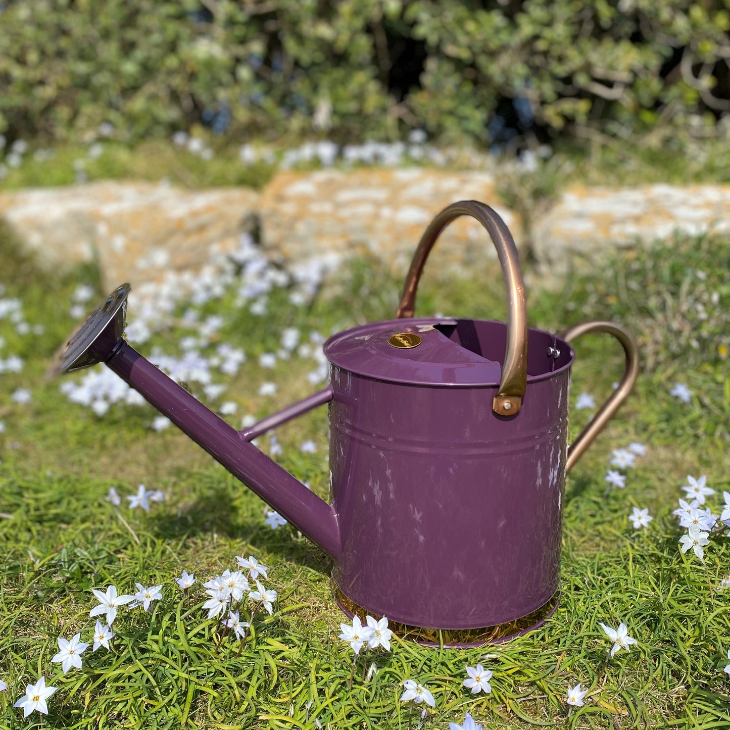 Heritage Heather & Copper Metal Watering Can with Rose (9 Litre)