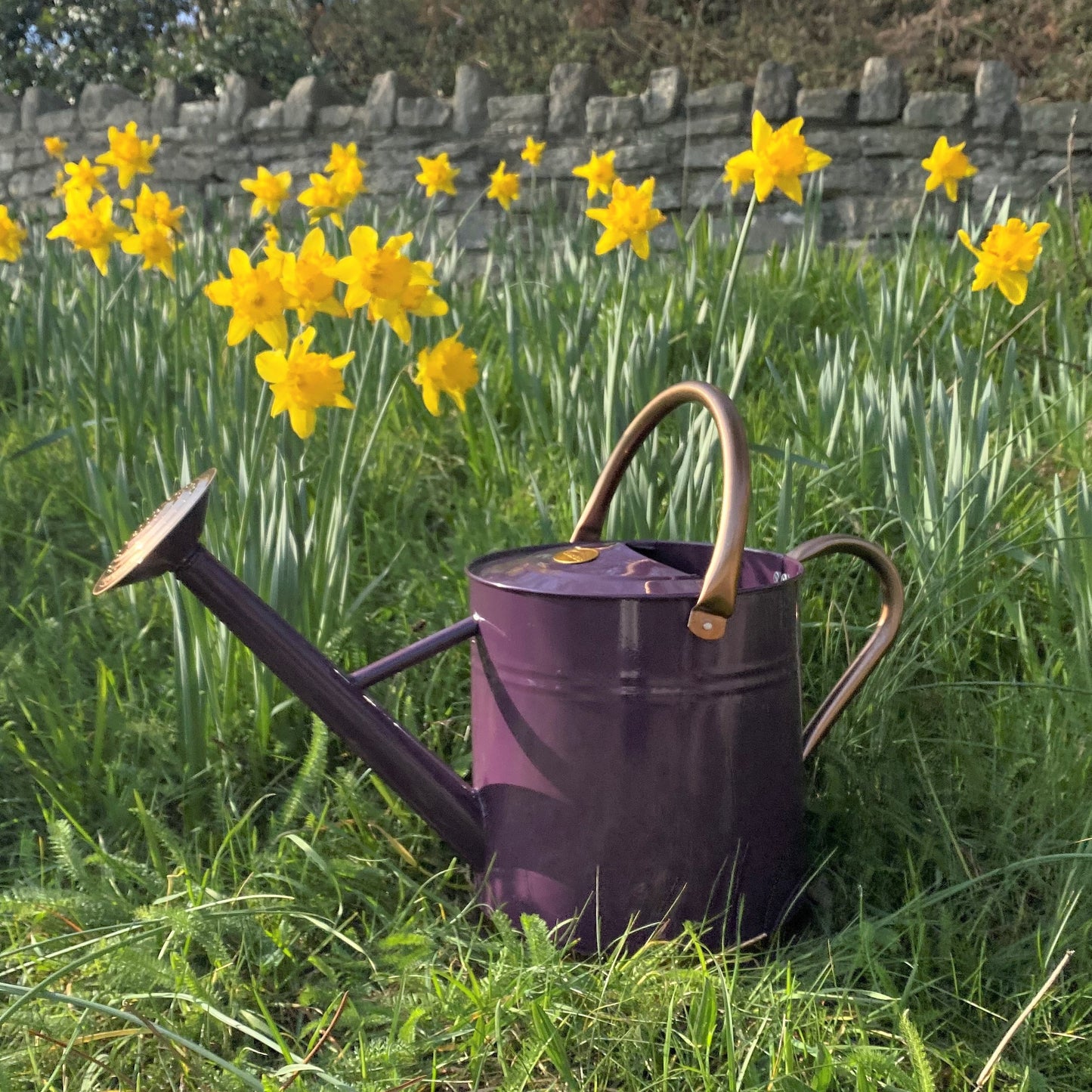 Heritage Heather & Copper Metal Watering Can with Rose (9 Litre)