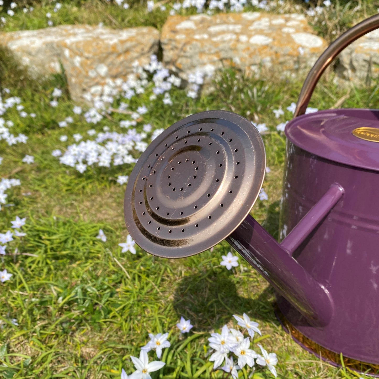 Heritage Heather & Copper Metal Watering Can with Rose (9 Litre)