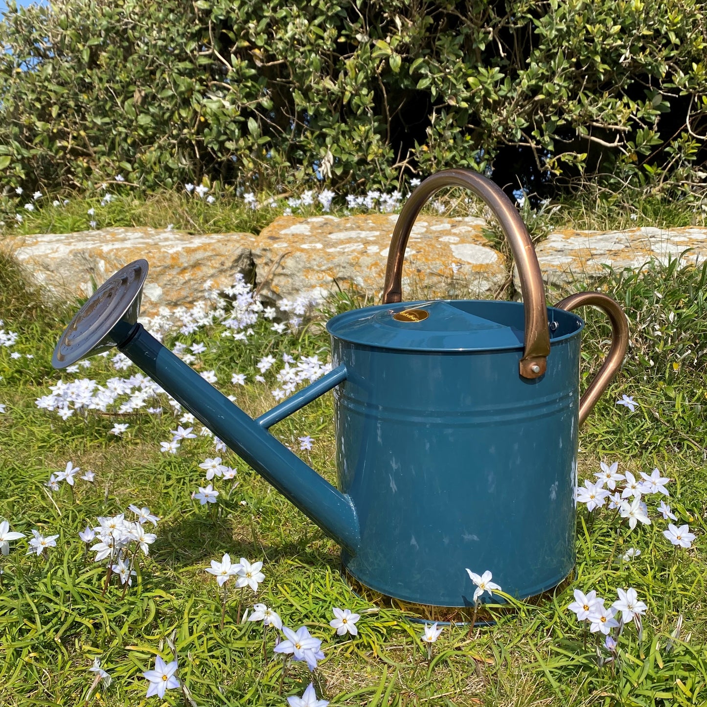 Heritage Blue & Copper Metal Watering Can with Rose (9 Litre)