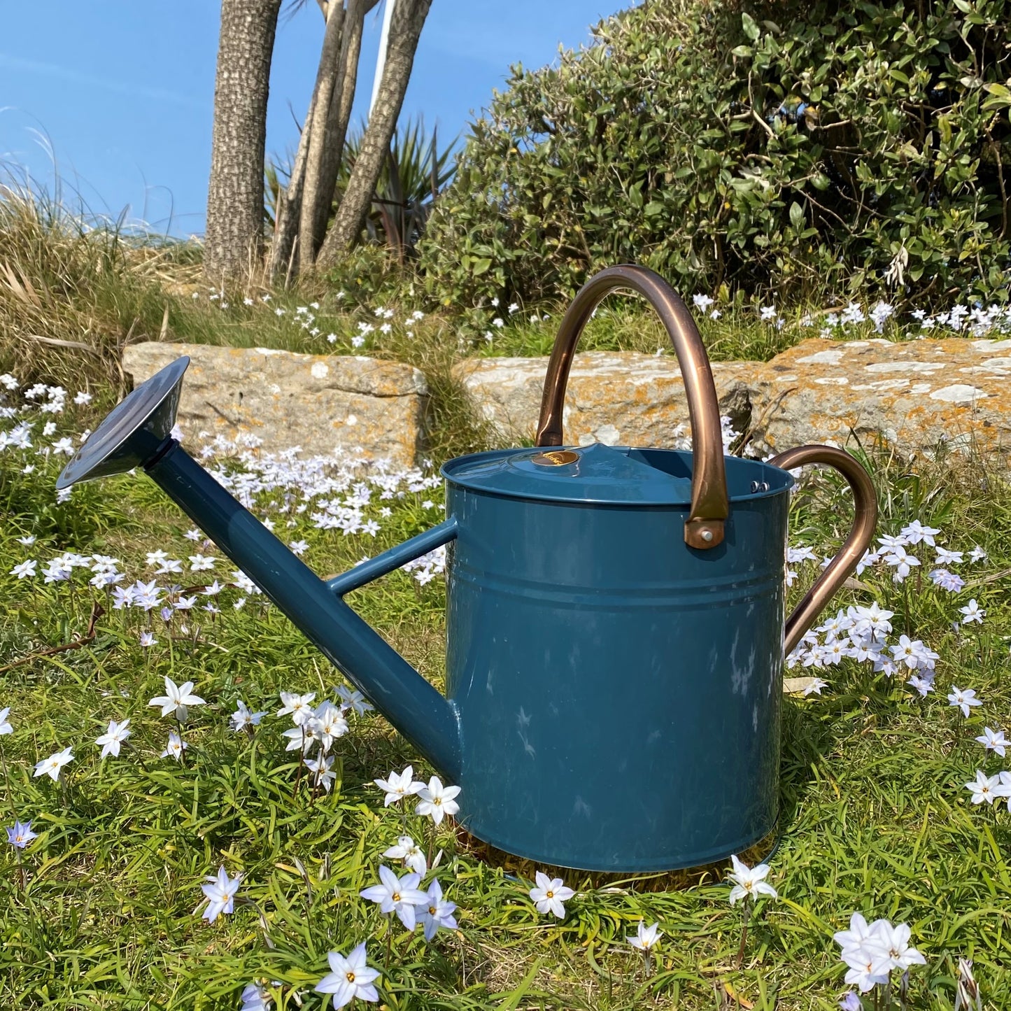 Heritage Blue & Copper Metal Watering Can with Rose (9 Litre)