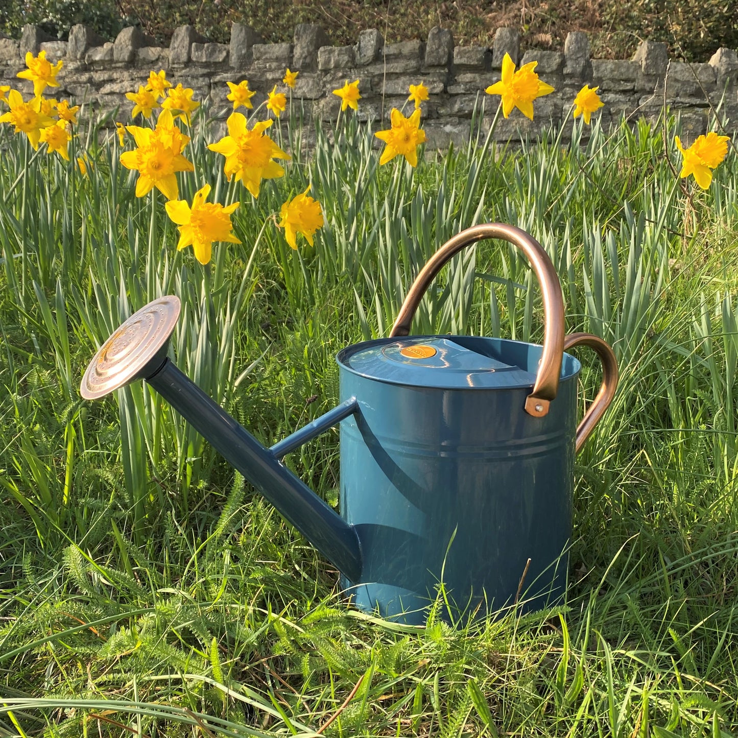 Heritage Blue & Copper Metal Watering Can with Rose (9 Litre)