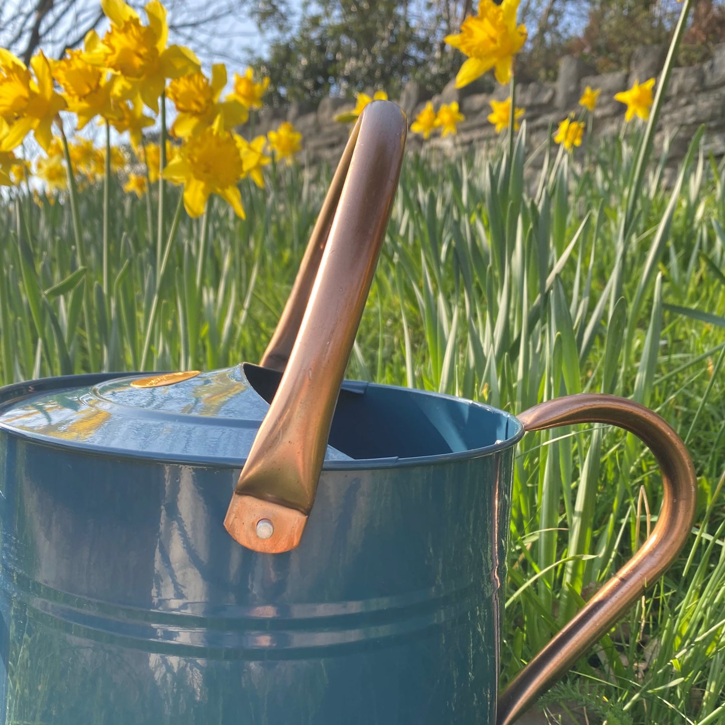 Heritage Blue & Copper Metal Watering Can with Rose (9 Litre)