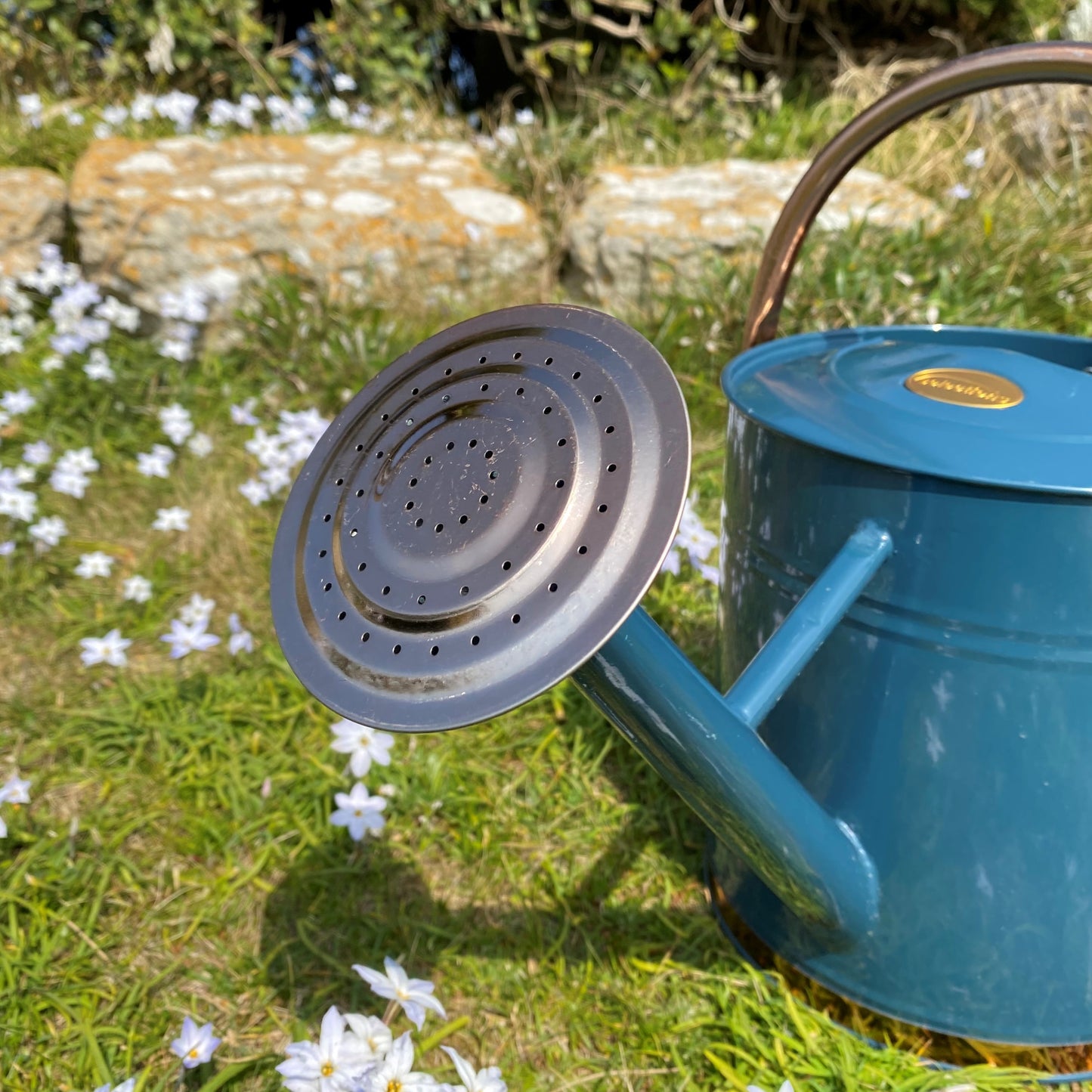 Heritage Blue & Copper Metal Watering Can with Rose (9 Litre)