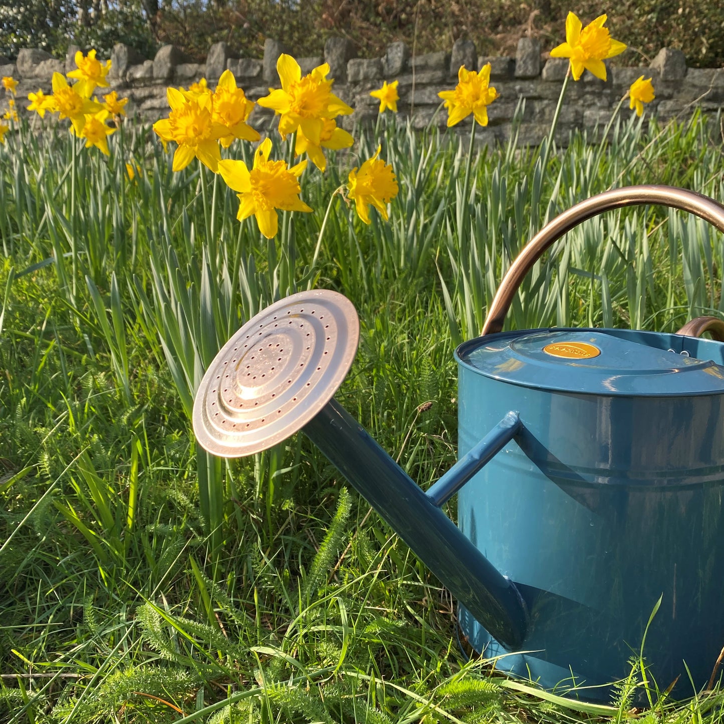 Rose for 9 Litre Heritage Blue and Copper Watering Can GFJ855