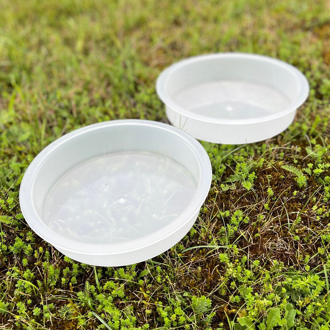 Bird Bath Water Dish for Metal Bird Feeding Stations (Set of 5)